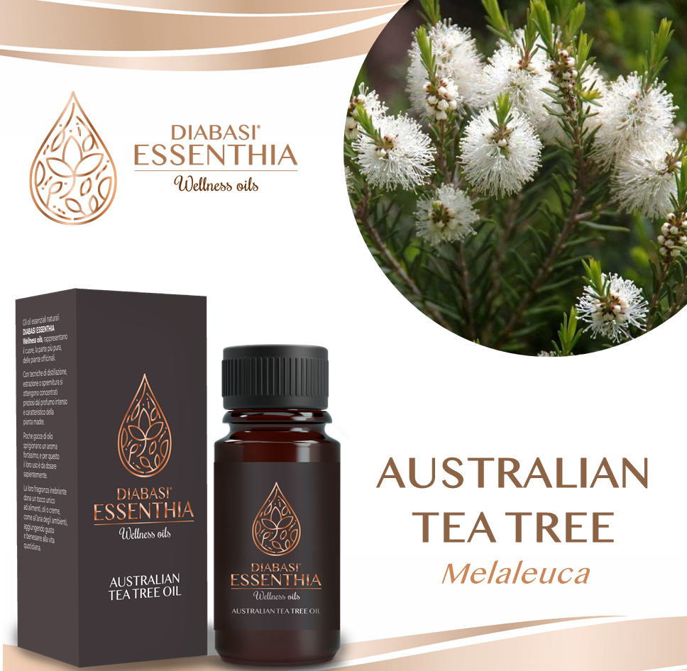 AUSTRALIAN TEA TREE