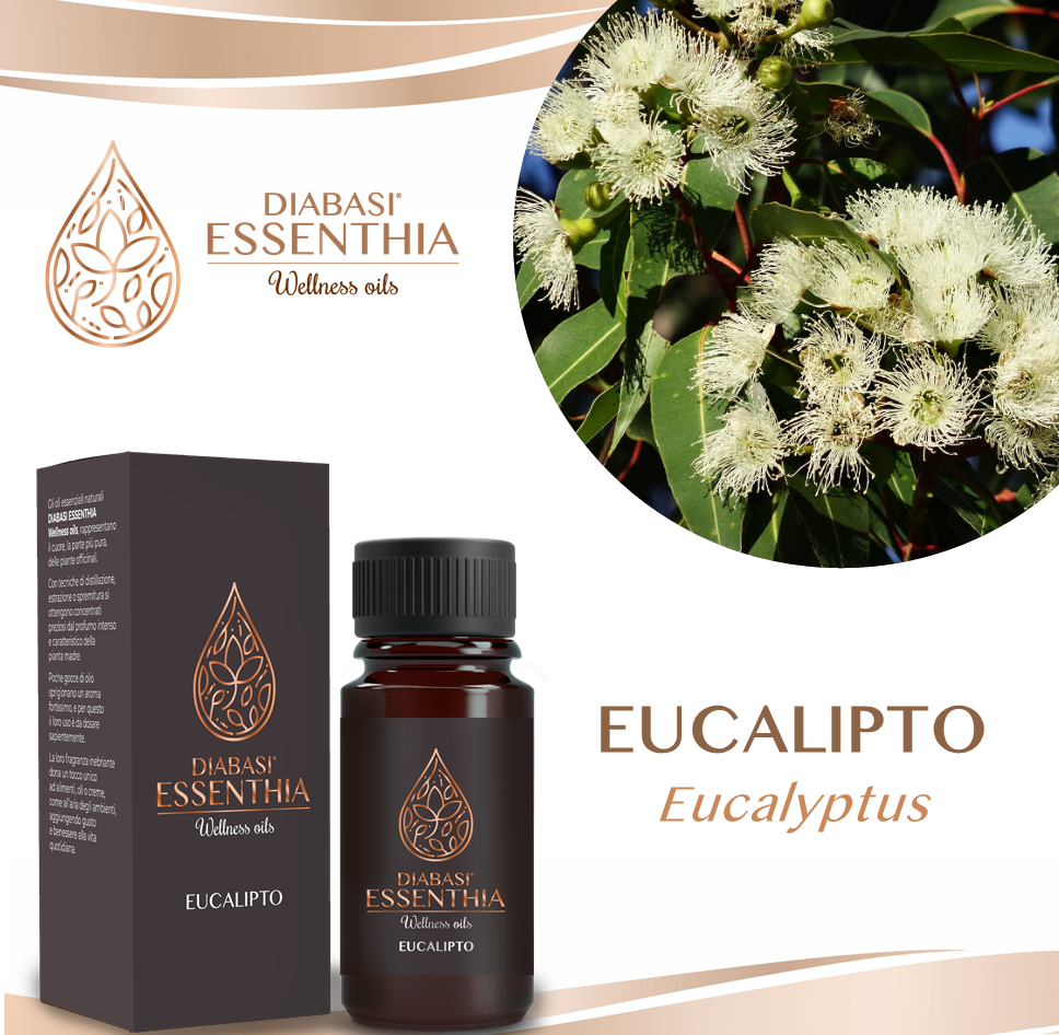 EUCALIPTO