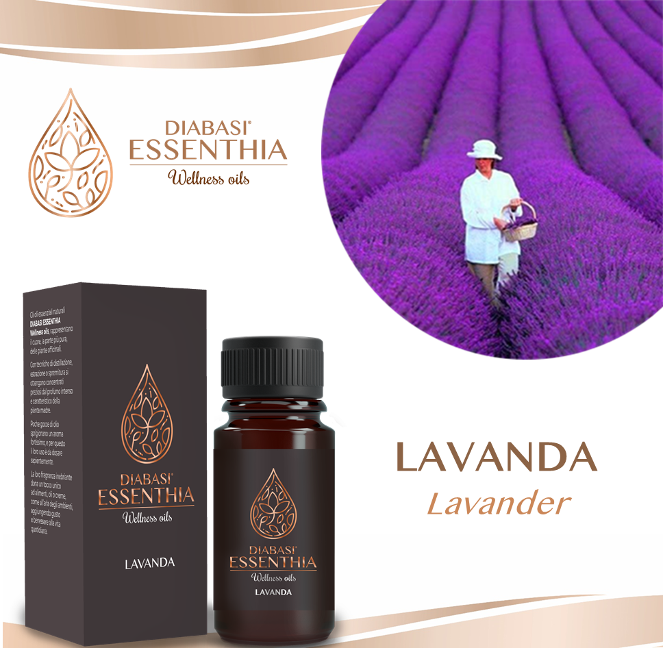 LAVANDA