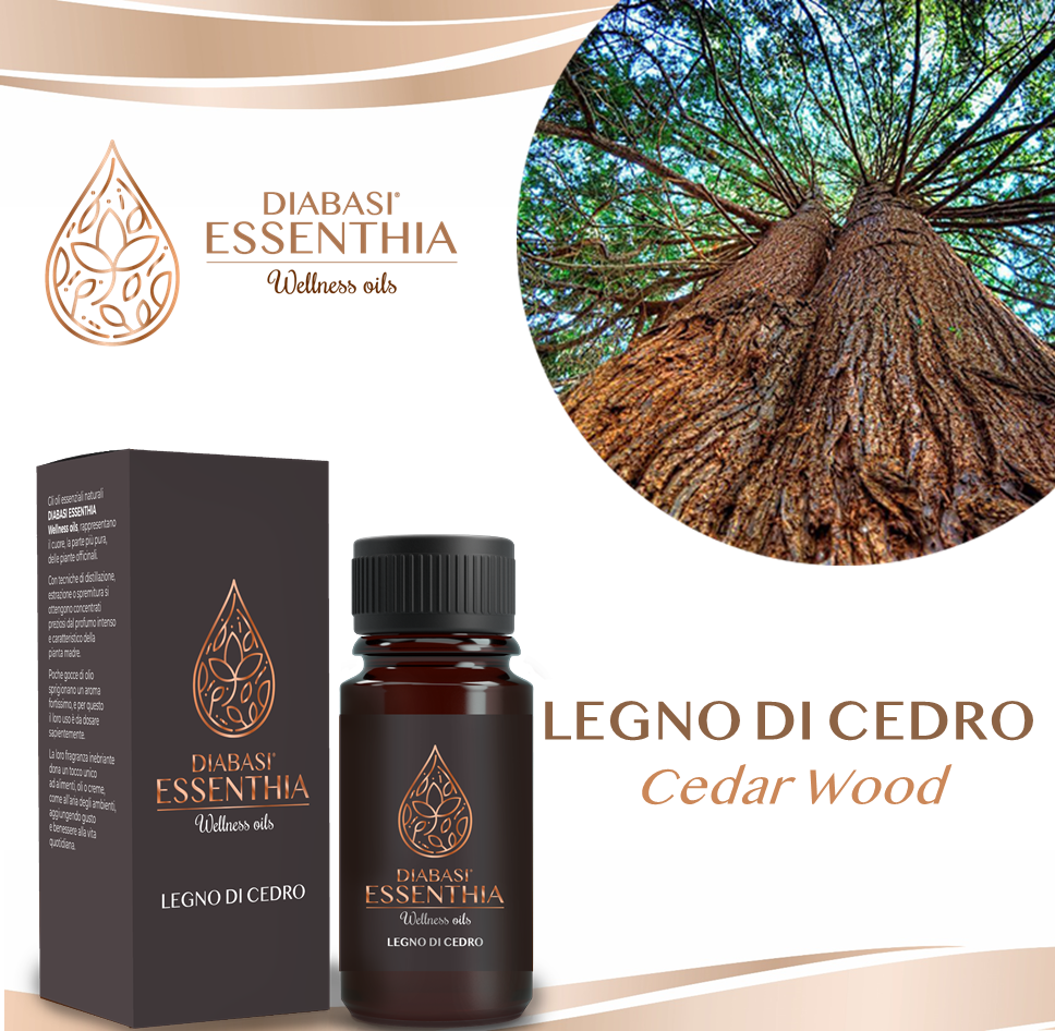 LEGNO DI CEDRO