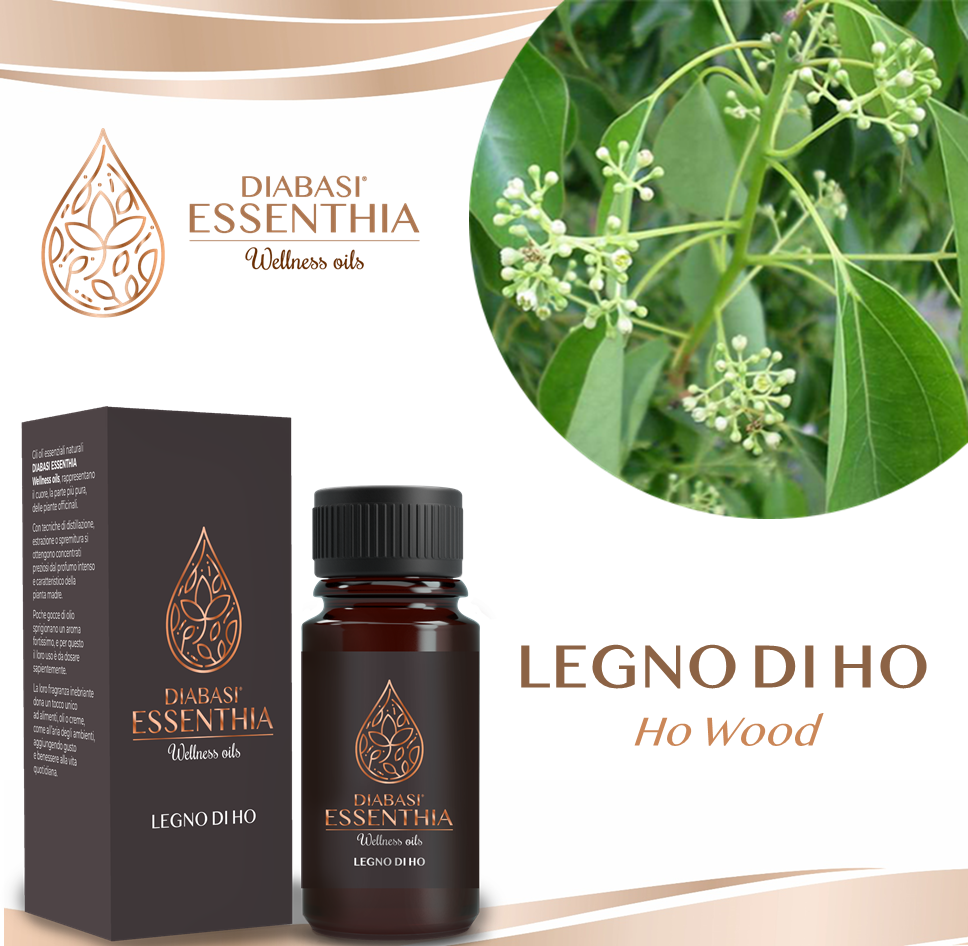 LEGNO DI HO
