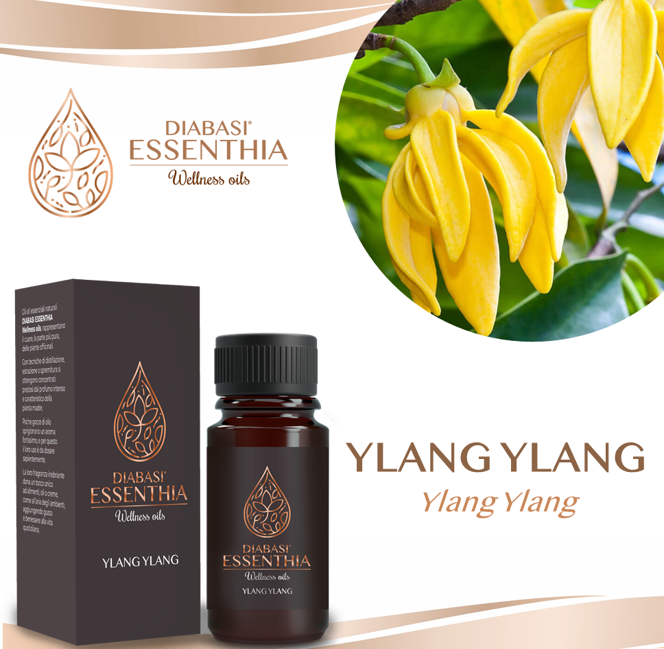 YLANG YLANG