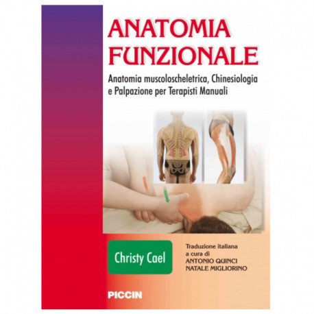Testo - Anatomia Funzionale